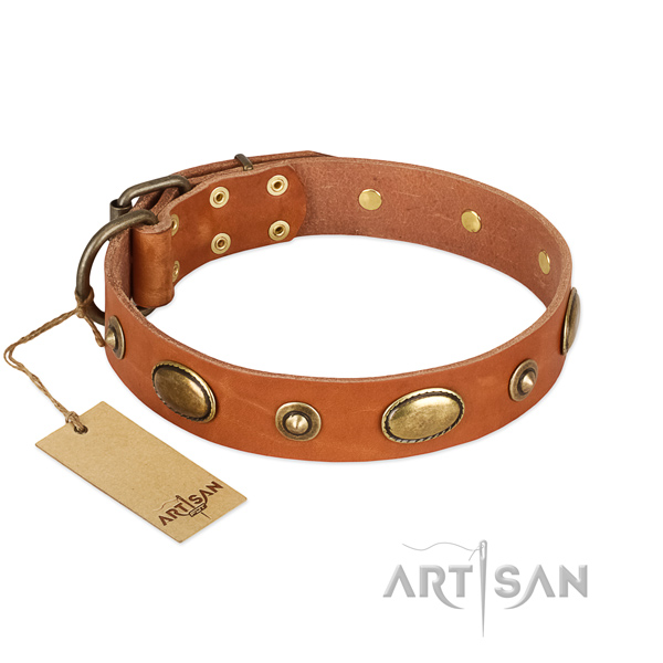 Incredible leather collar for your dog