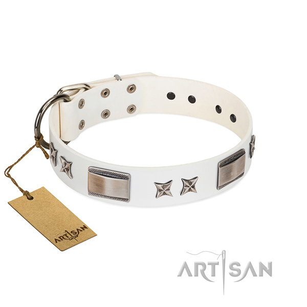 Perfect fit dog collar of full grain leather