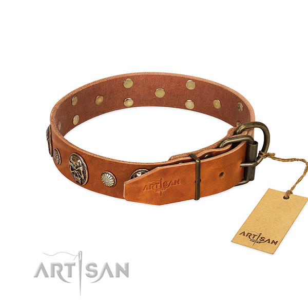 Durable hardware on full grain genuine leather collar for daily walking your four-legged friend