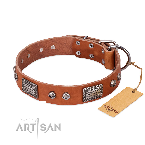 Easy wearing full grain leather dog collar for daily walking your pet