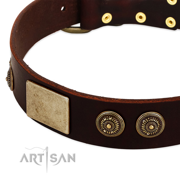 Rust-proof fittings on genuine leather dog collar for your four-legged friend