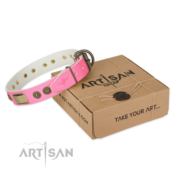 Reliable fittings on dog collar for handy use
