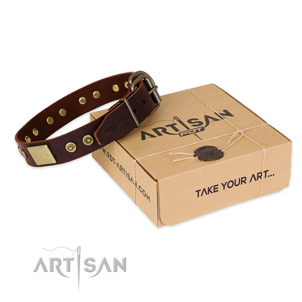 Reliable fittings on dog collar for handy use