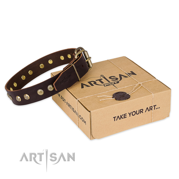 Reliable traditional buckle on leather collar for your lovely four-legged friend