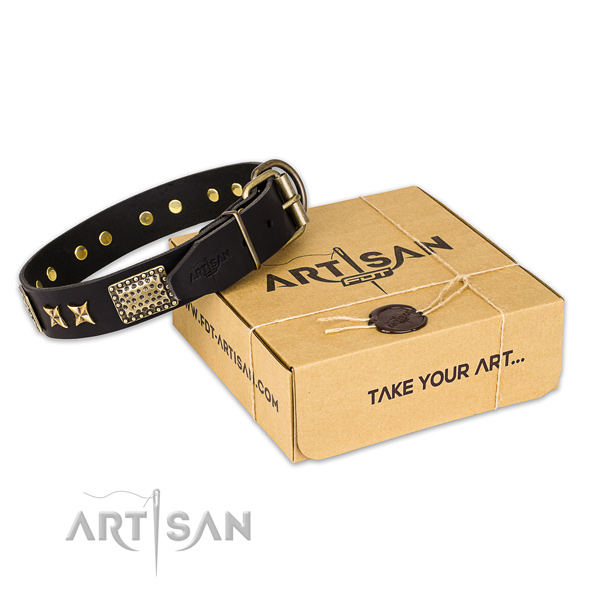 Reliable fittings on full grain leather collar for your attractive pet