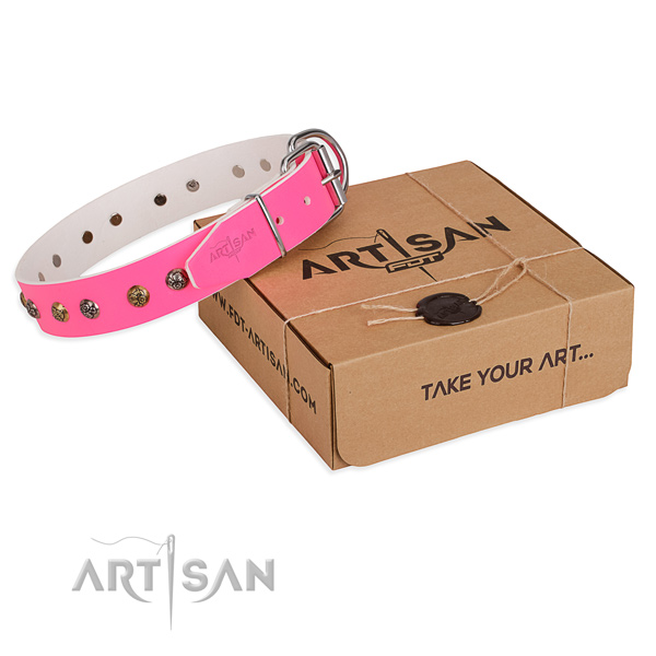 Comfortable wearing dog collar with Impressive corrosion proof studs