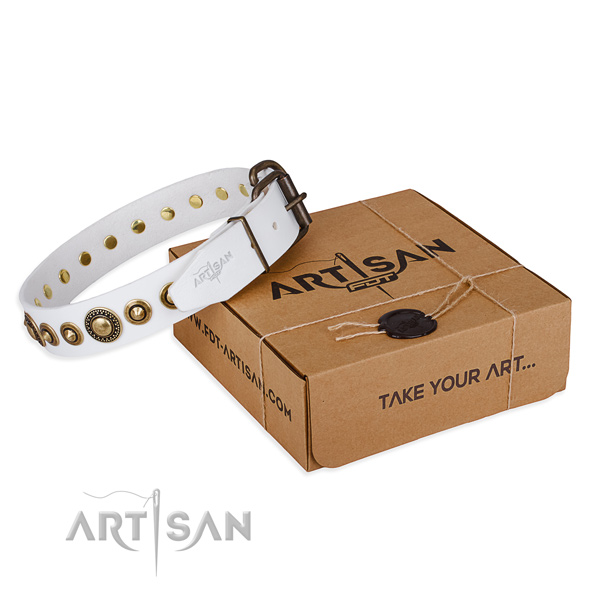 High quality genuine leather dog collar created for everyday use