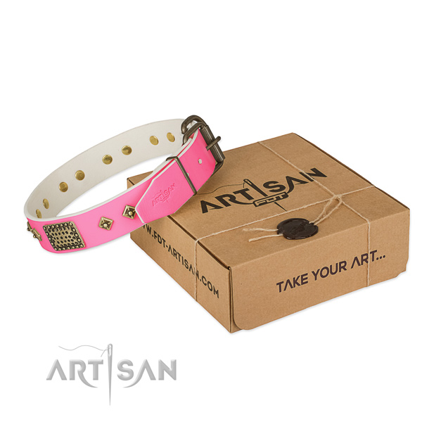 Corrosion proof embellishments on dog collar for easy wearing