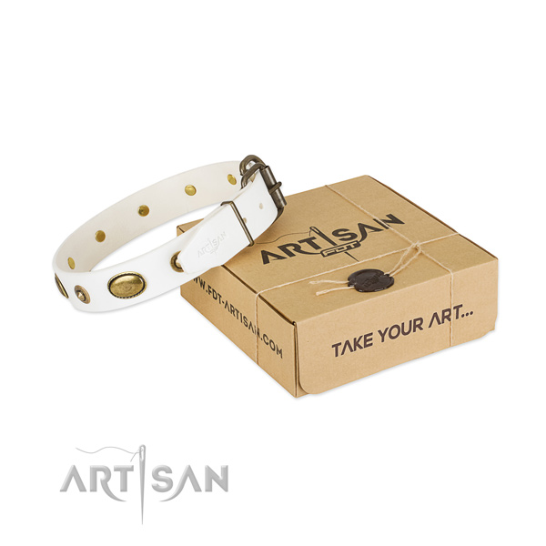 Awesome natural leather collar for your attractive dog