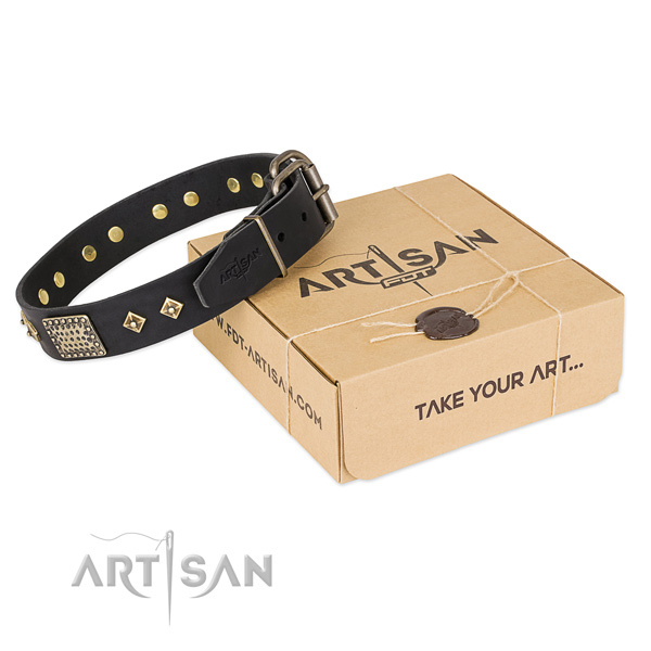 Designer full grain leather collar for your impressive canine