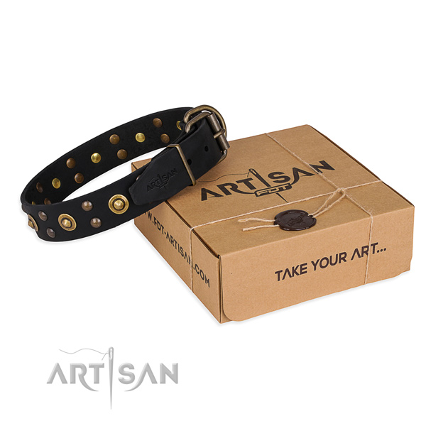Durable buckle on full grain leather collar for your attractive four-legged friend