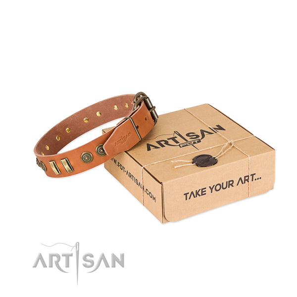 Durable decorations on full grain natural leather dog collar for your canine