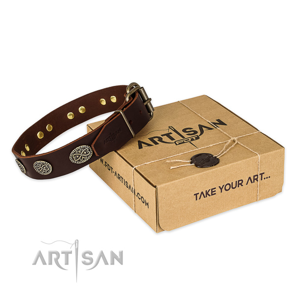 Reliable hardware on leather collar for your lovely pet