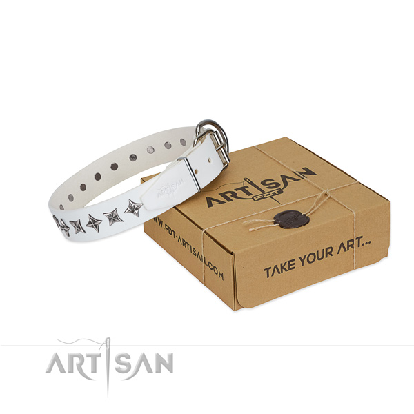 Top notch full grain natural leather dog collar with stylish adornments