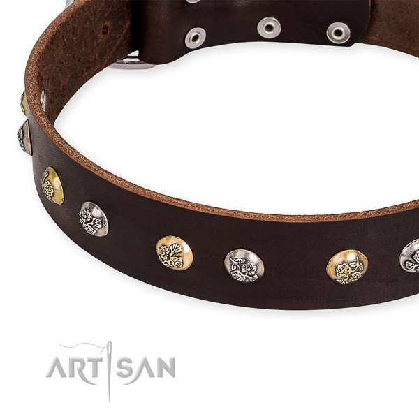 Full grain leather dog collar with trendy rust resistant embellishments