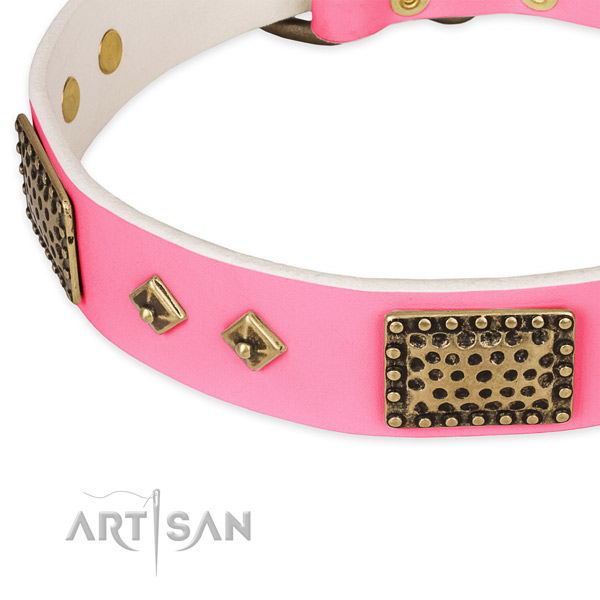 Leather dog collar with studs for stylish walking