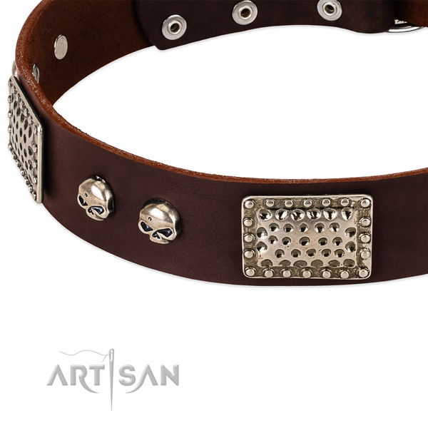 Strong traditional buckle on full grain natural leather dog collar for your four-legged friend