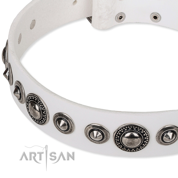 Everyday use embellished dog collar of finest quality full grain genuine leather