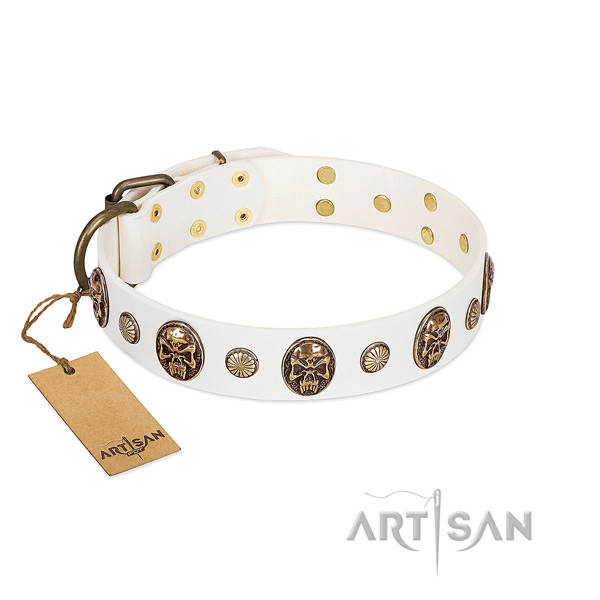 Handmade full grain natural leather dog collar for everyday use