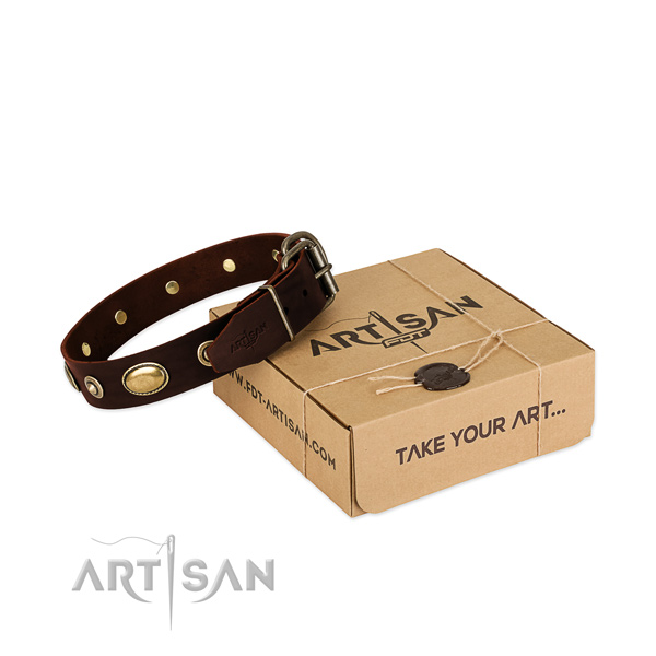 Rust resistant decorations on genuine leather dog collar for your four-legged friend