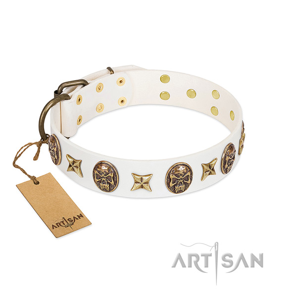 Easy wearing full grain leather dog collar for everyday use