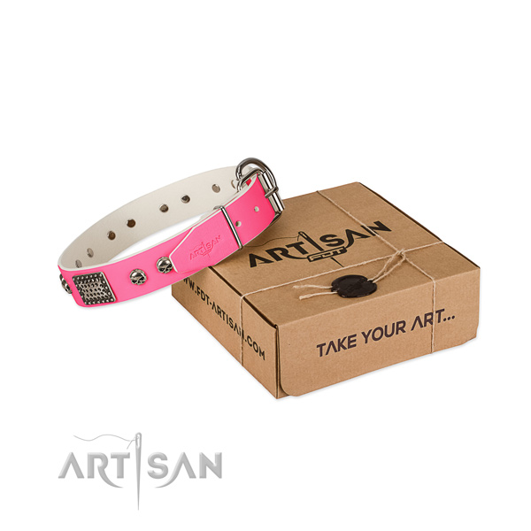 Rust resistant adornments on dog collar for handy use