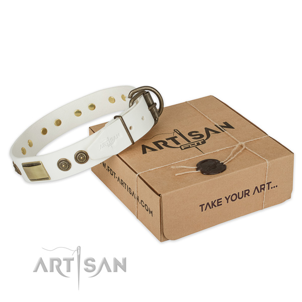 Strong fittings on full grain genuine leather dog collar for everyday use