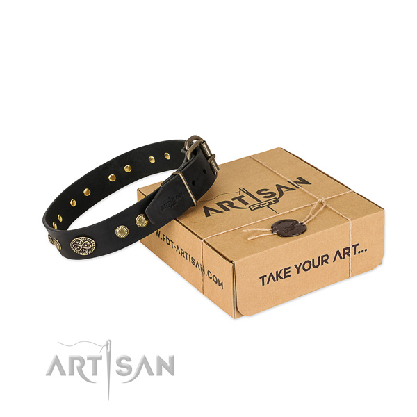 Corrosion proof traditional buckle on full grain natural leather dog collar for your four-legged friend