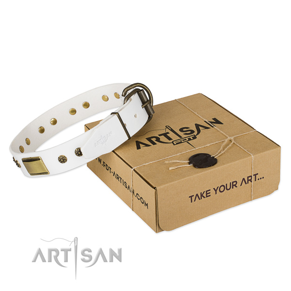 Incredible natural genuine leather collar for your beautiful pet