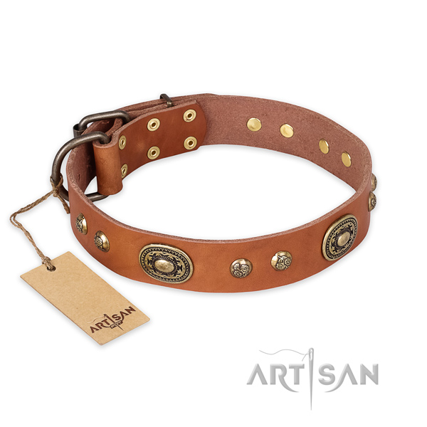 Exquisite full grain leather dog collar for daily use