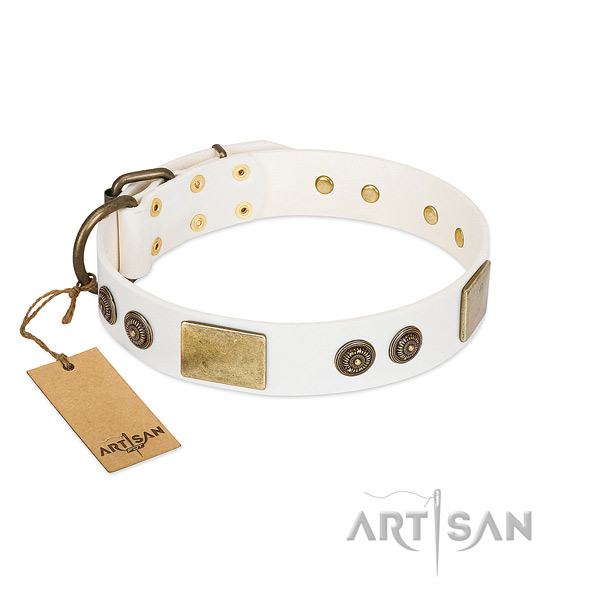 Comfortable full grain natural leather dog collar for stylish walking