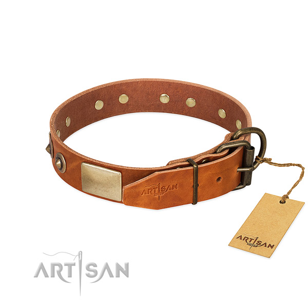 Durable hardware on comfortable wearing dog collar