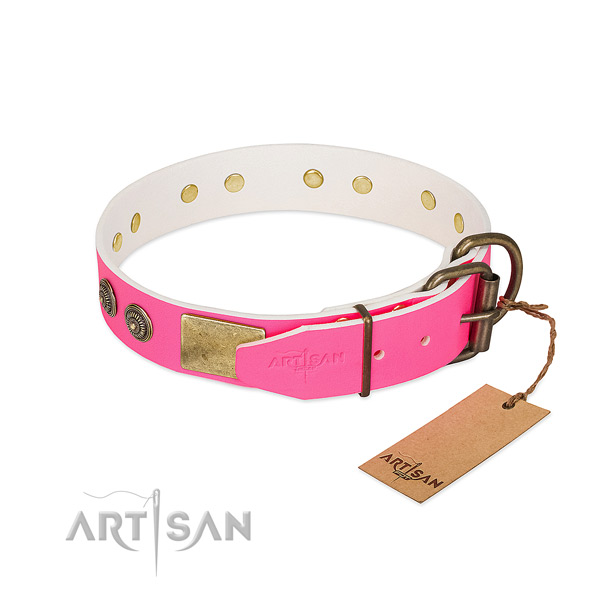 Corrosion proof hardware on genuine leather collar for daily walking your pet
