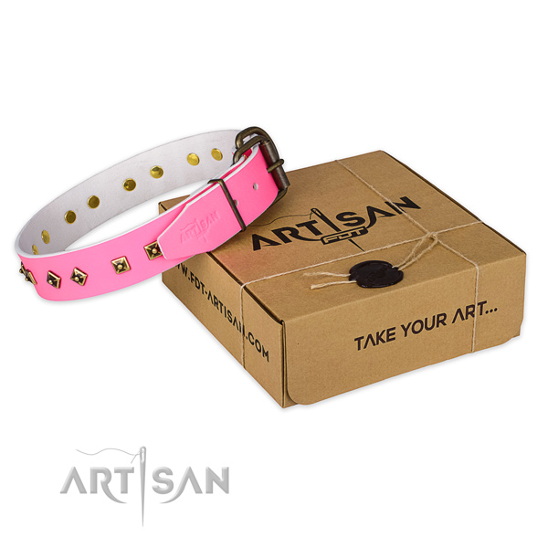 Reliable fittings on natural leather dog collar for stylish walking