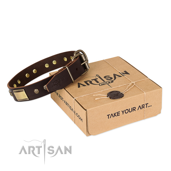 Fashionable full grain genuine leather collar for your handsome pet