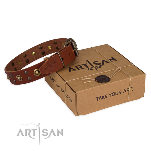 Corrosion proof buckle on full grain genuine leather collar for your lovely doggie