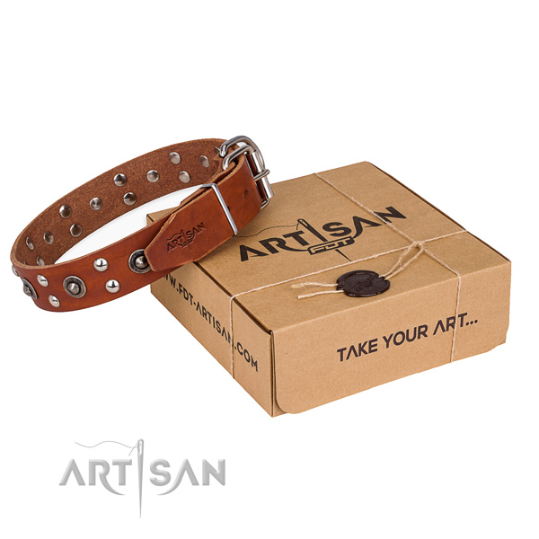 Durable fittings on leather collar for your stylish canine