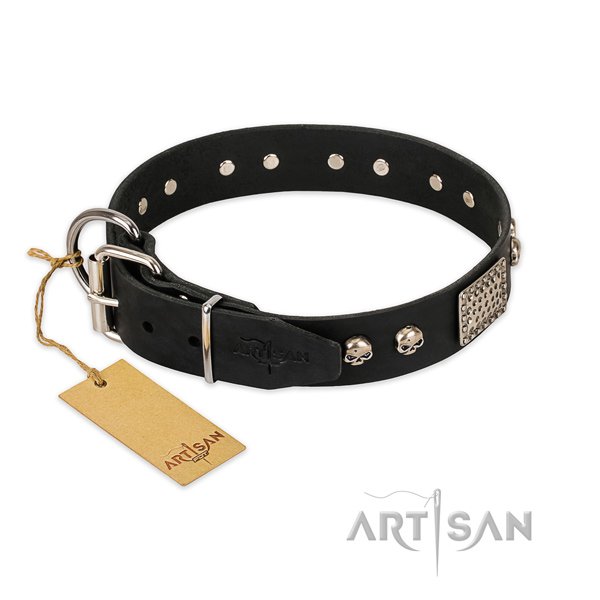 Corrosion proof fittings on basic training dog collar
