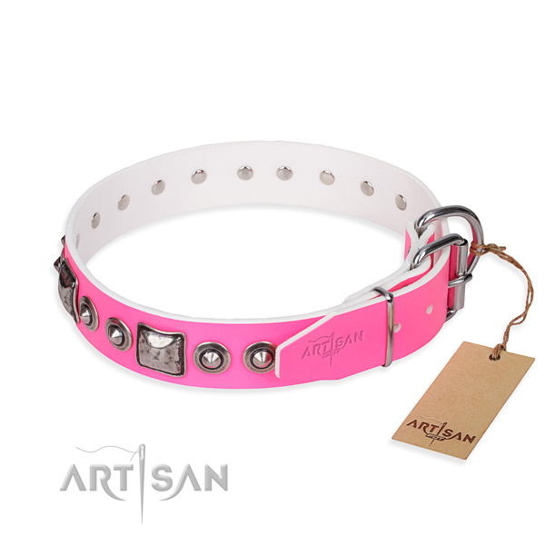 Best quality leather dog collar created for everyday walking