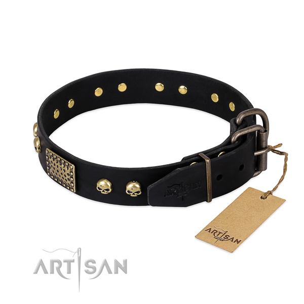 Reliable decorations on everyday walking dog collar