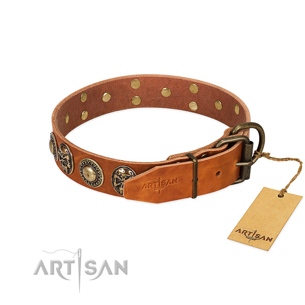 Corrosion resistant traditional buckle on comfy wearing dog collar