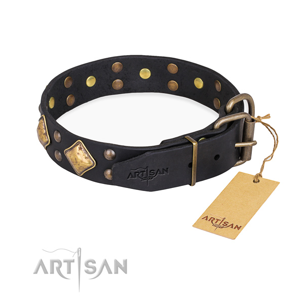 Full grain genuine leather dog collar with trendy rust resistant embellishments