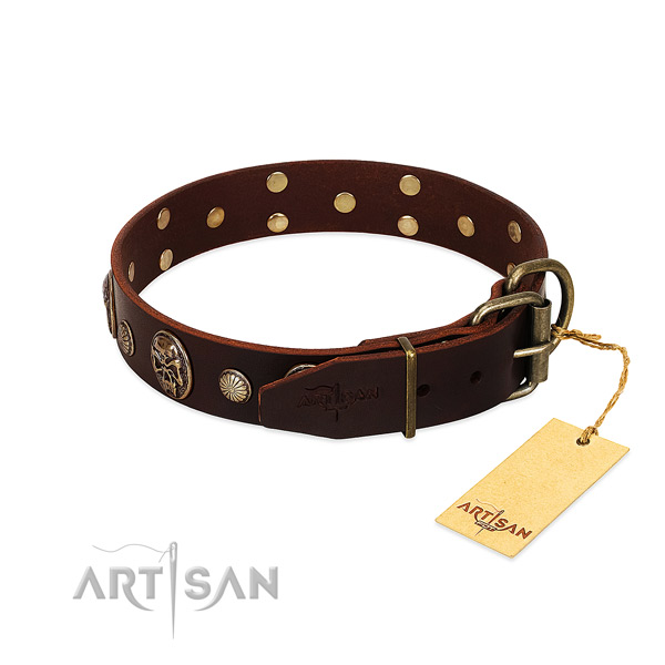 Rust resistant fittings on daily walking dog collar