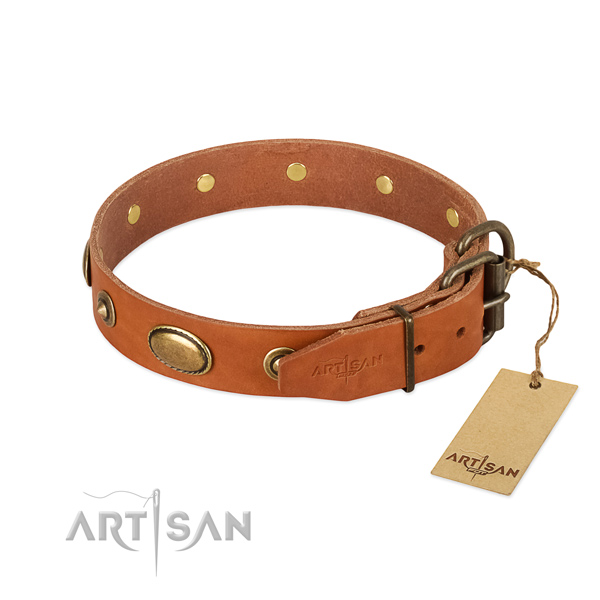 Durable fittings on full grain leather dog collar for your pet