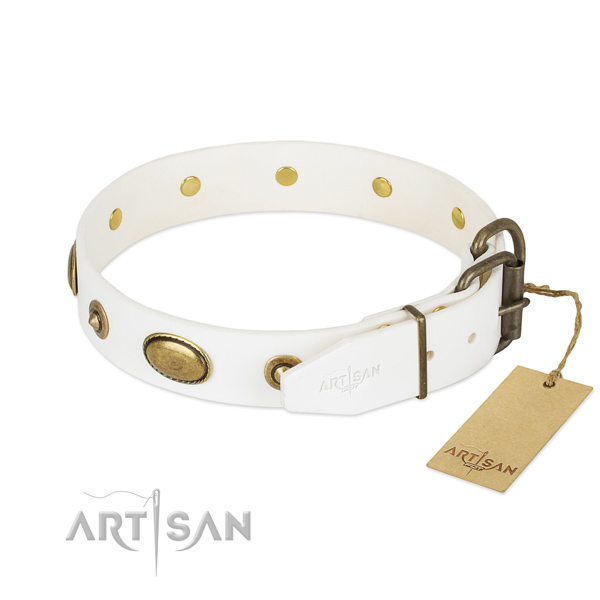 Reliable embellishments on full grain leather dog collar for your canine