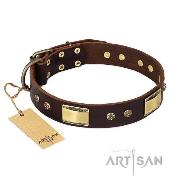 Genuine leather dog collar with corrosion proof D-ring and adornments
