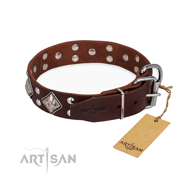 Genuine leather dog collar with unusual corrosion resistant studs