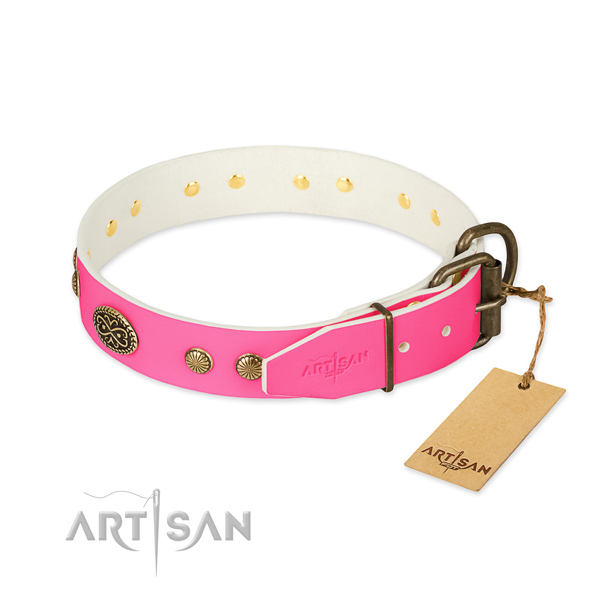 Rust-proof adornments on full grain natural leather dog collar for your four-legged friend