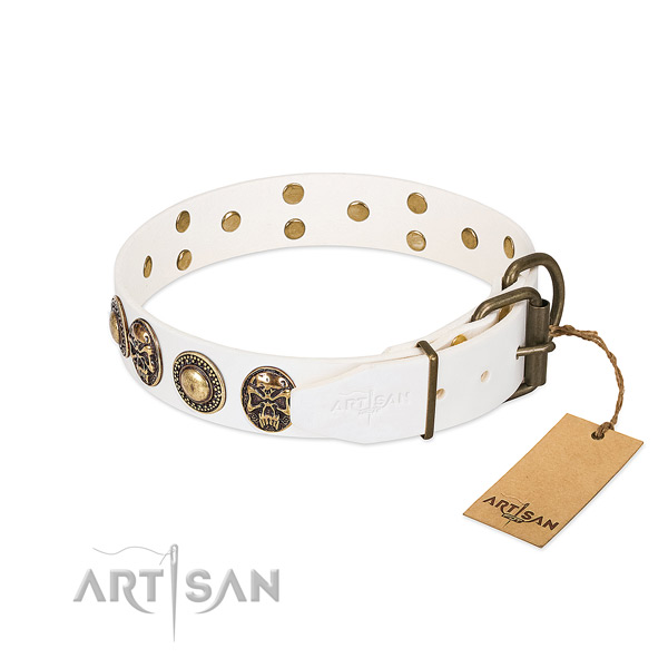 Rust resistant traditional buckle on walking dog collar