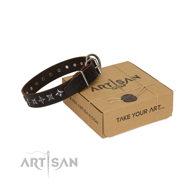 Basic training dog collar of reliable full grain genuine leather with decorations